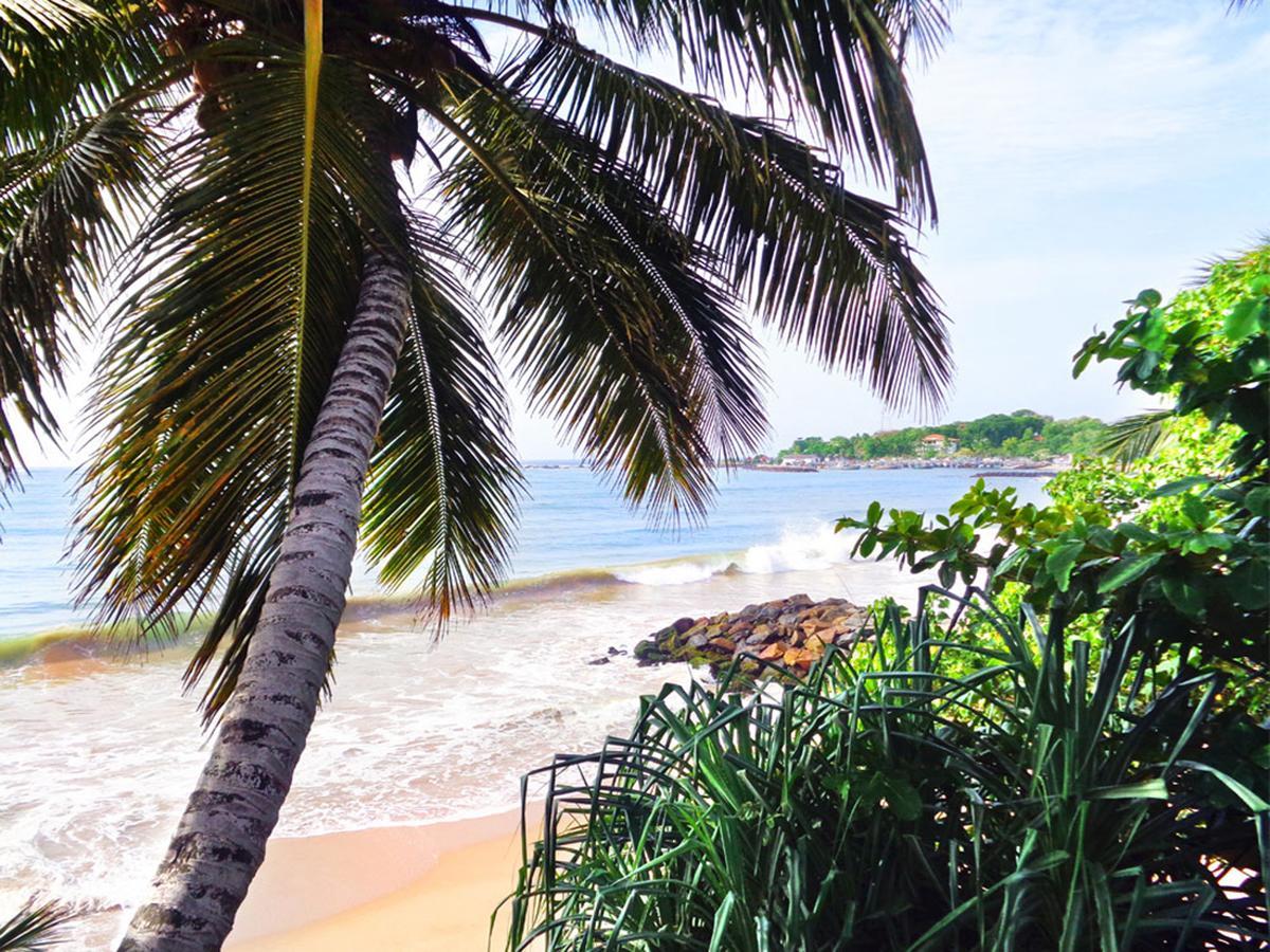 Reggae Zone Beach Resort Tangalle Eksteriør billede